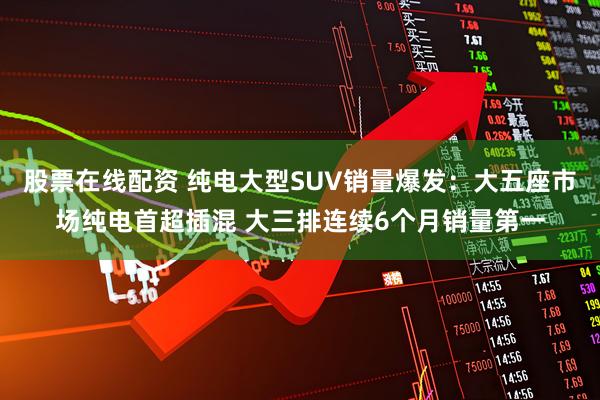 股票在线配资 纯电大型SUV销量爆发：大五座市场纯电首超插混 大三排连续6个月销量第一